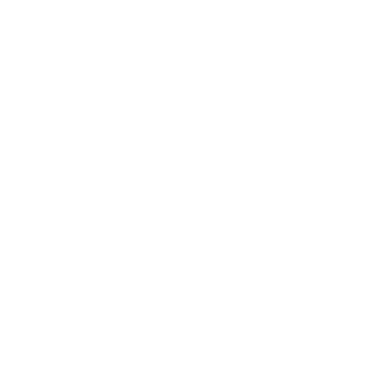 Data Annotation Process
