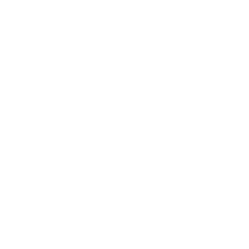 Virtual Assistant Working